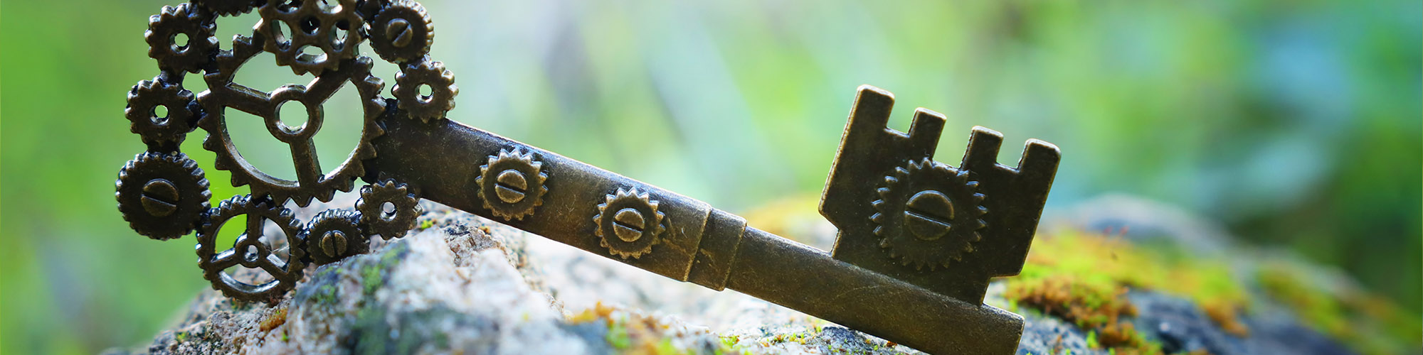 datenschutz_erblueht